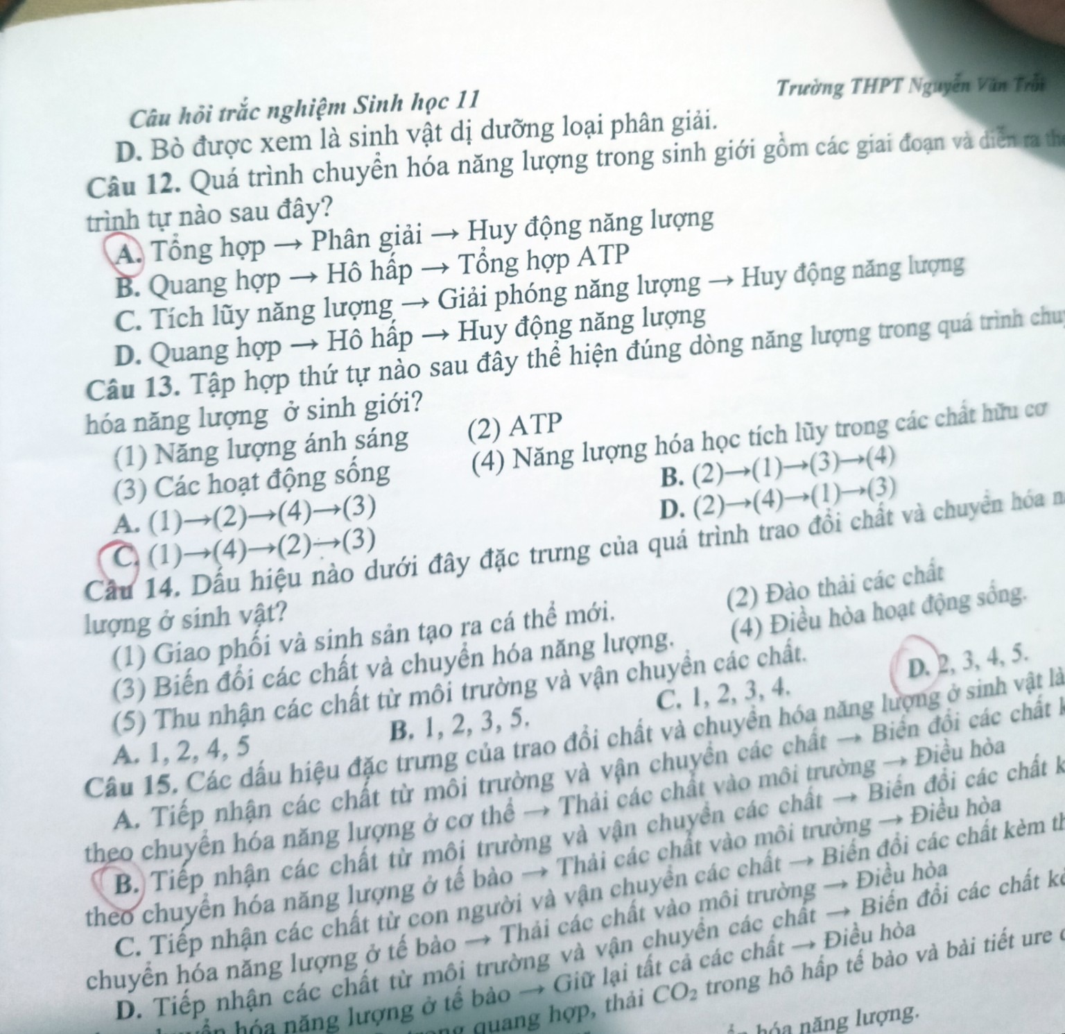 Hình minh họa câu 16