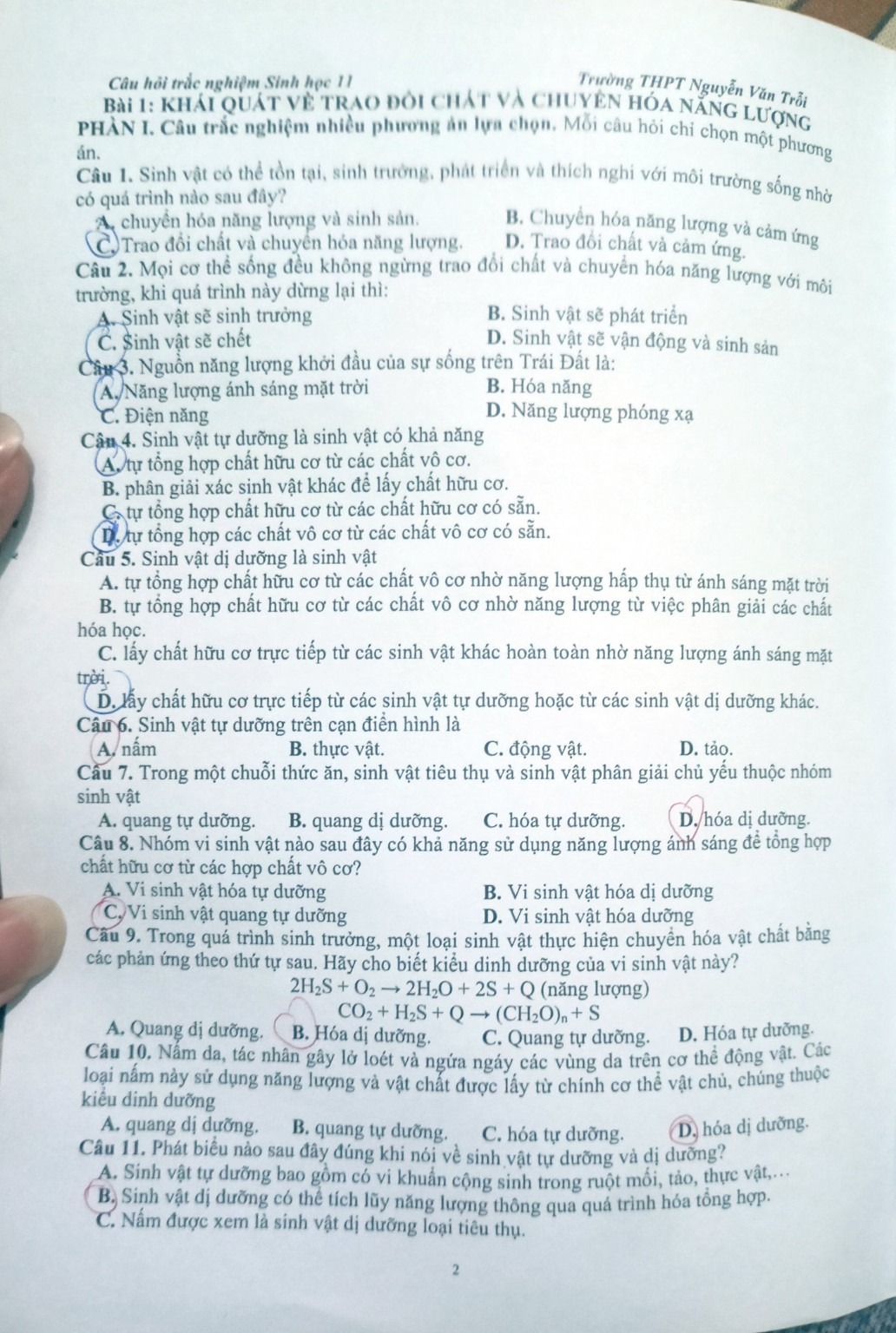 Hình minh họa câu 14