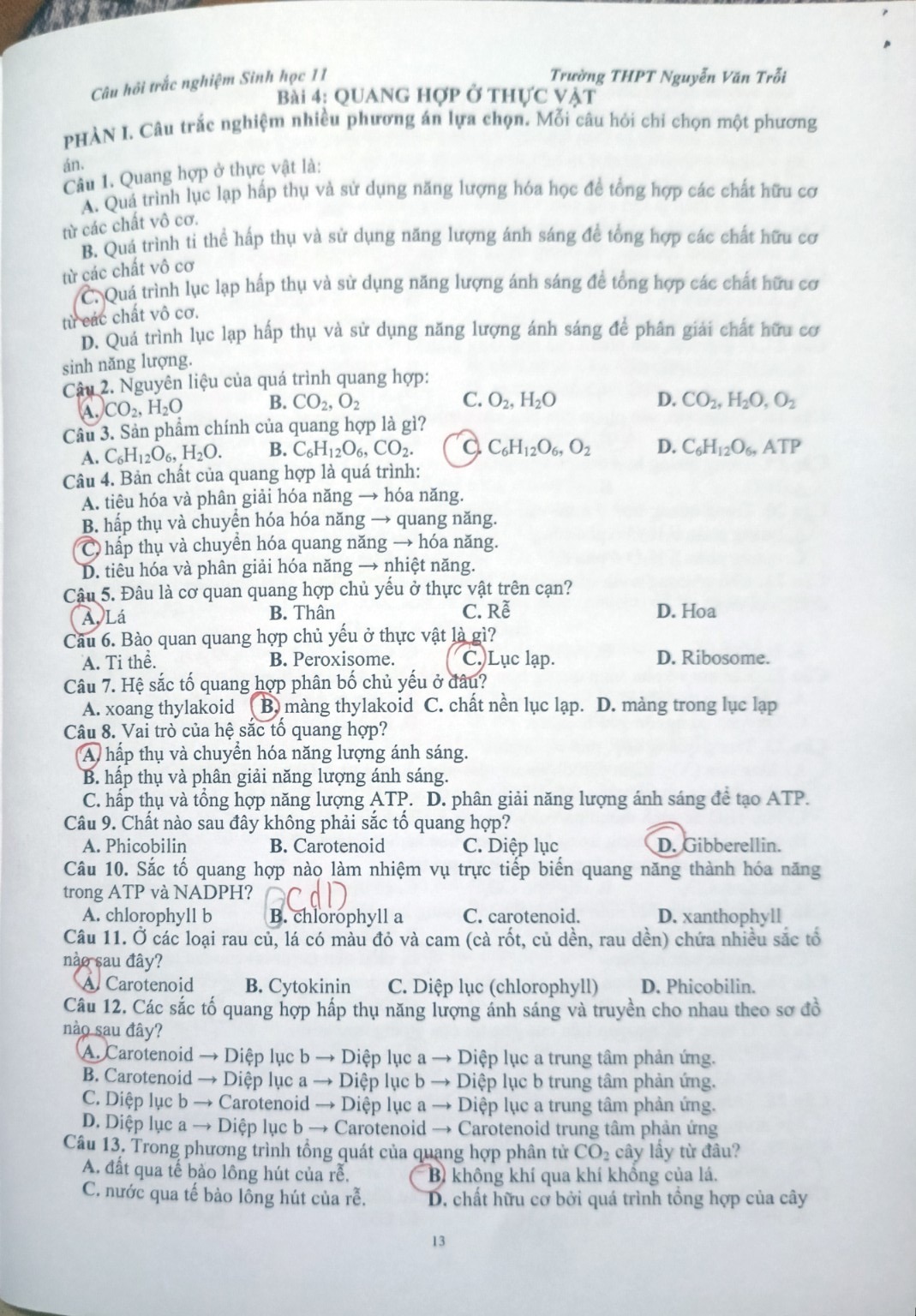 Hình minh họa câu 8