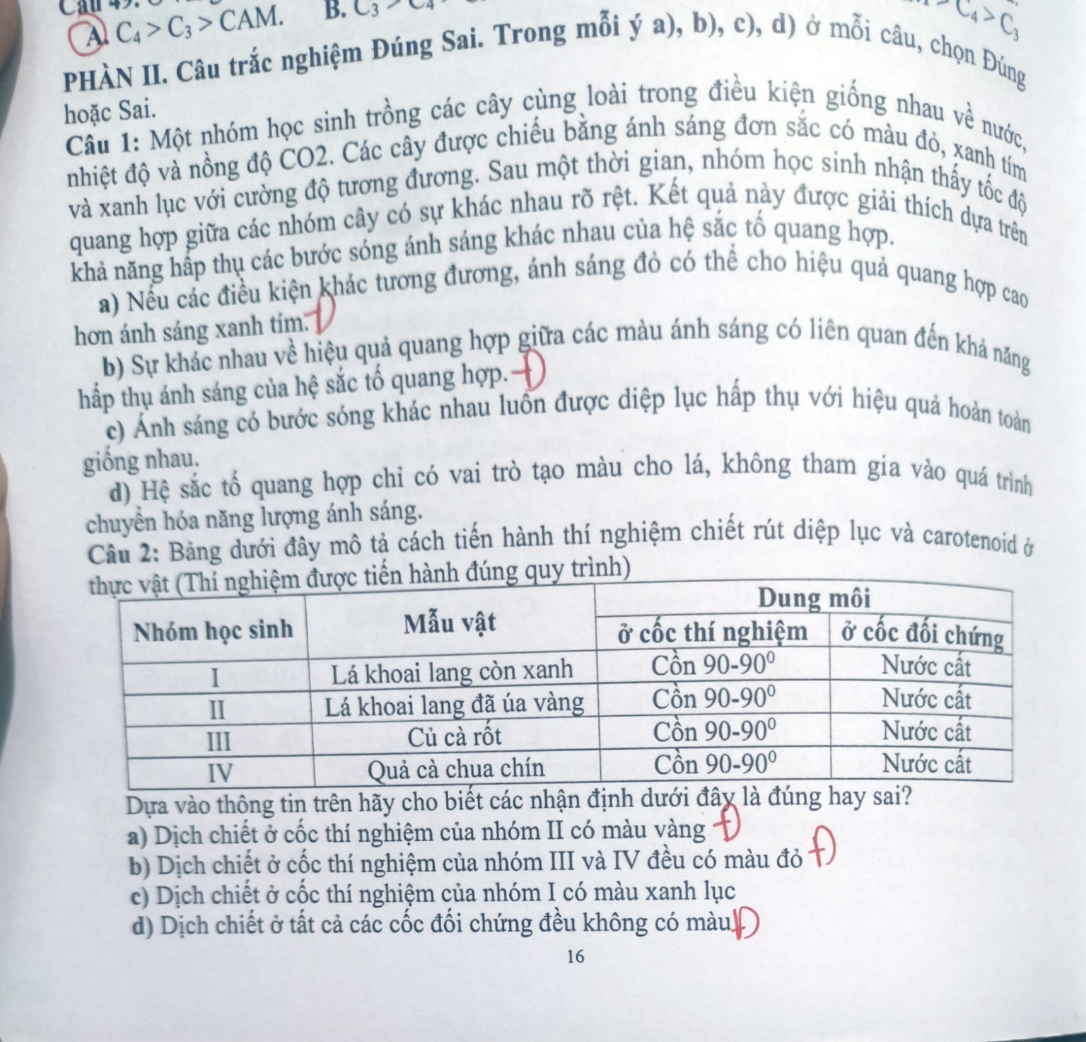 Hình minh họa câu 10